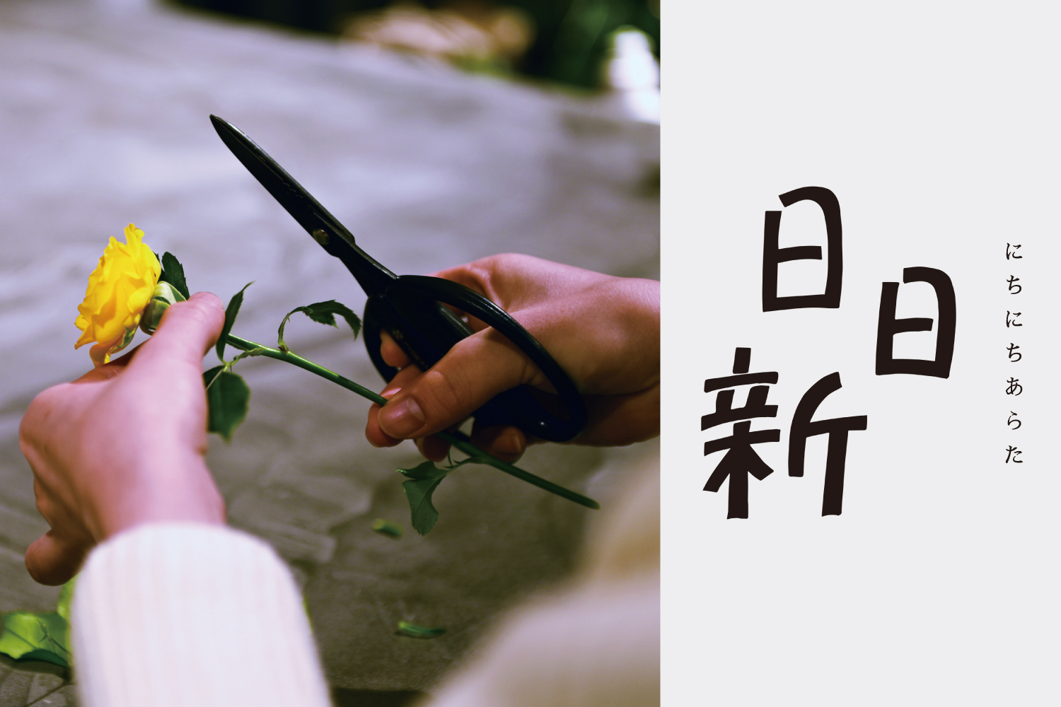 日日新フラワーアレンジメント