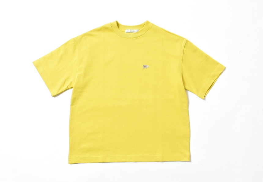 サイ ベーシックス