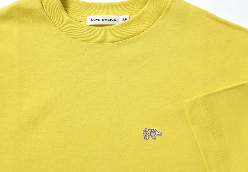 サイ ベーシックス