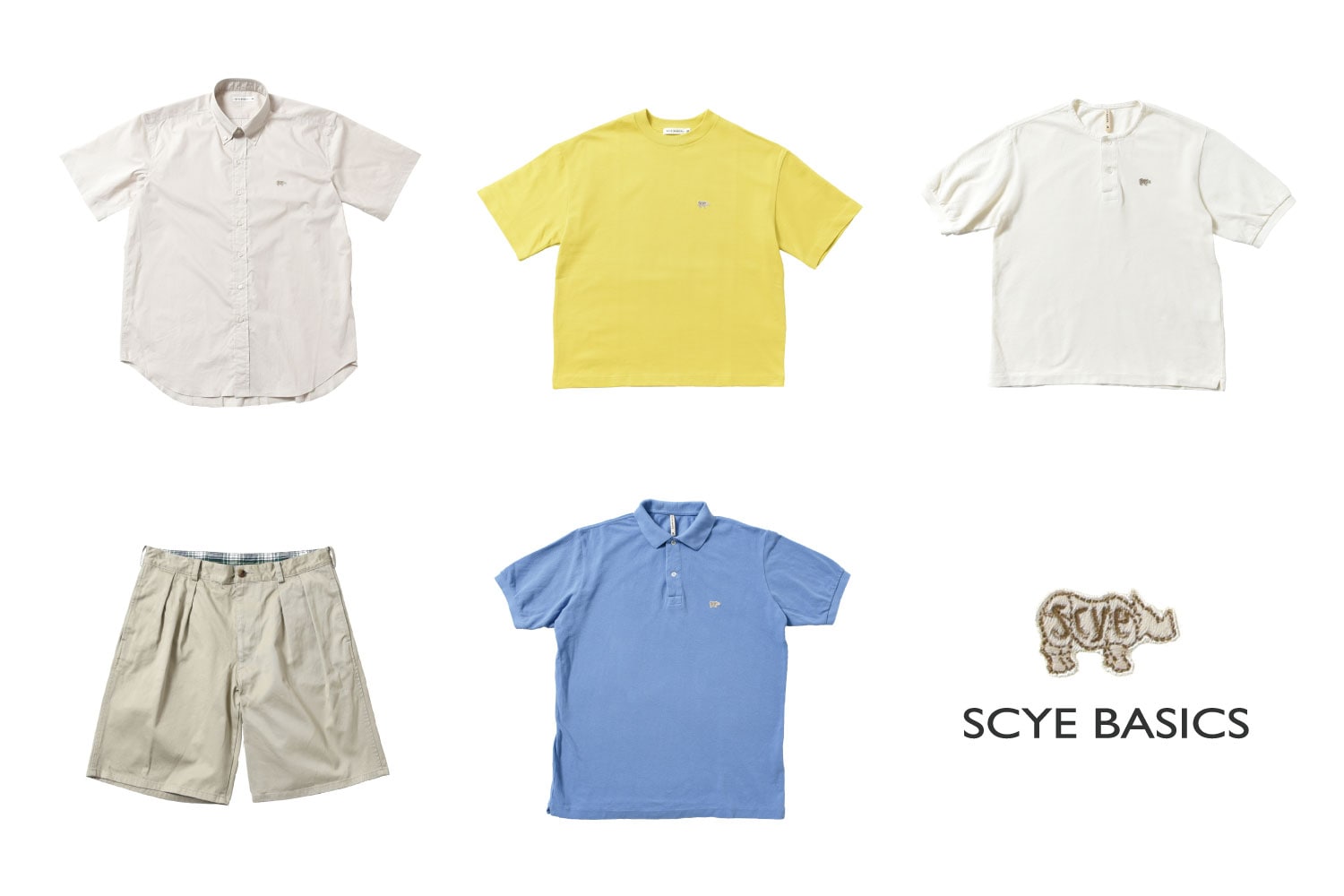 サイ ベーシックス