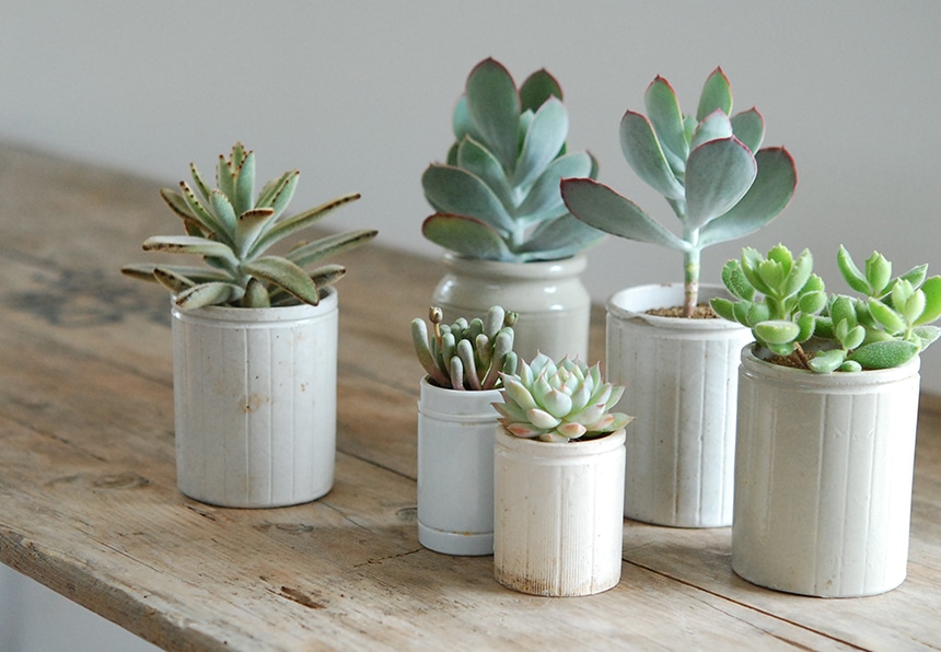 レイバーアンドウエイト