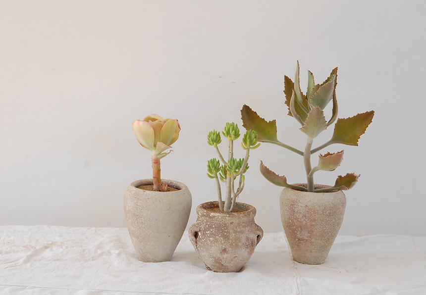 レイバーアンドウエイト