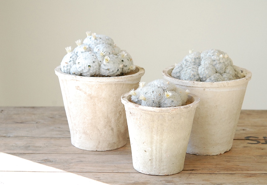 レイバーアンドウエイト