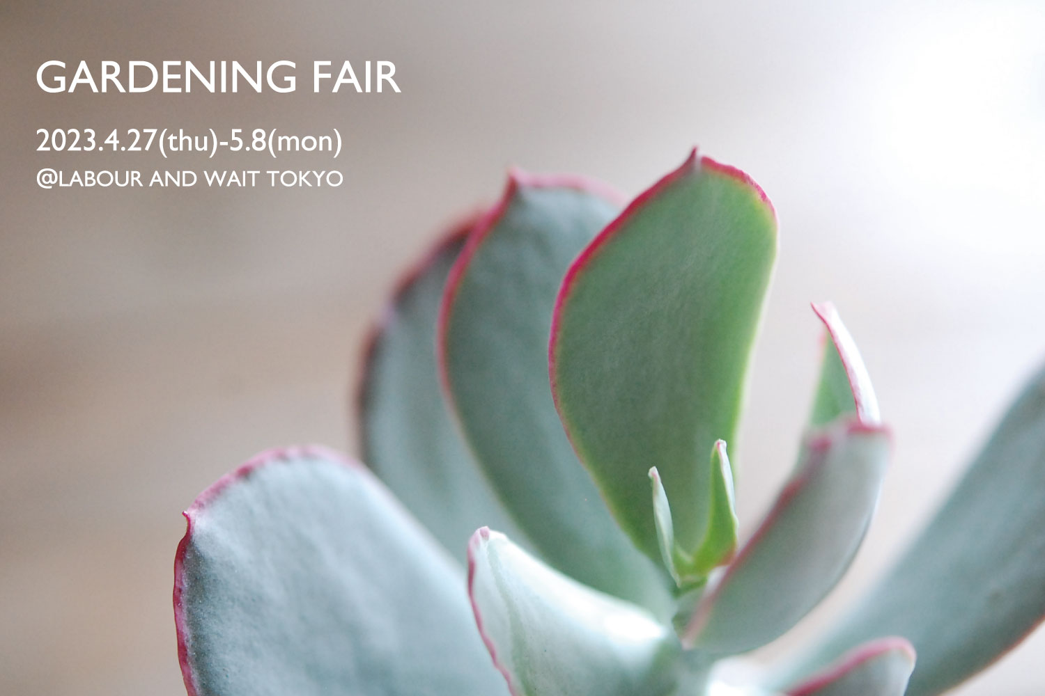 レイバーアンドウエイト