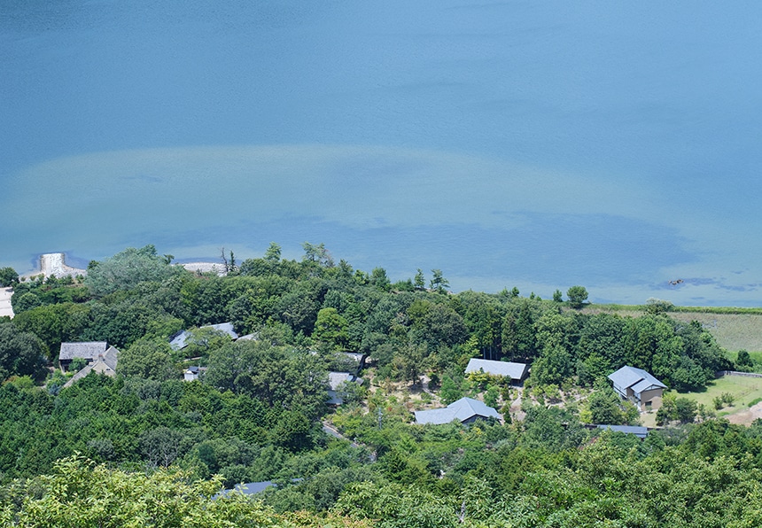 ビショップクミハマ