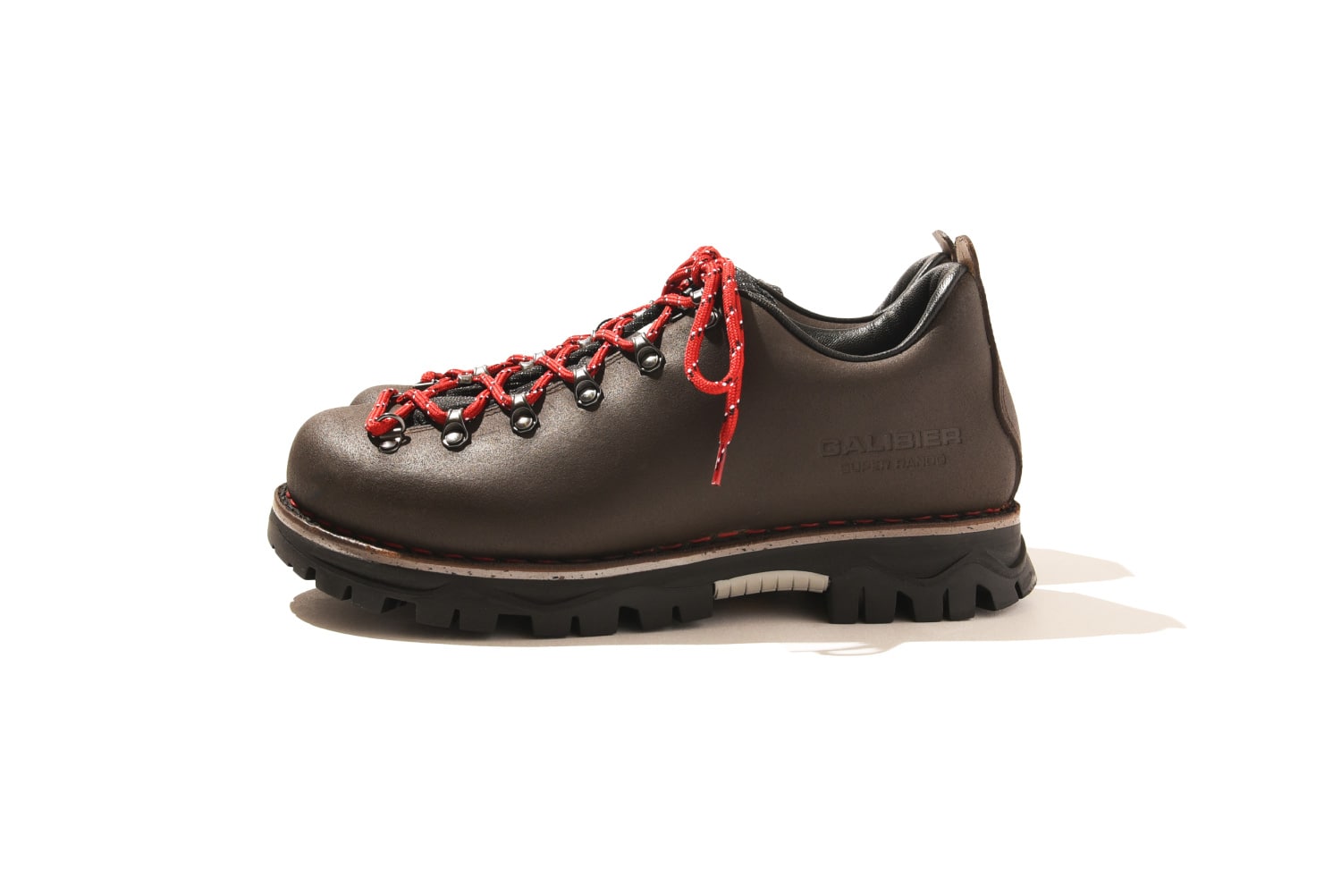 今日もビショップ