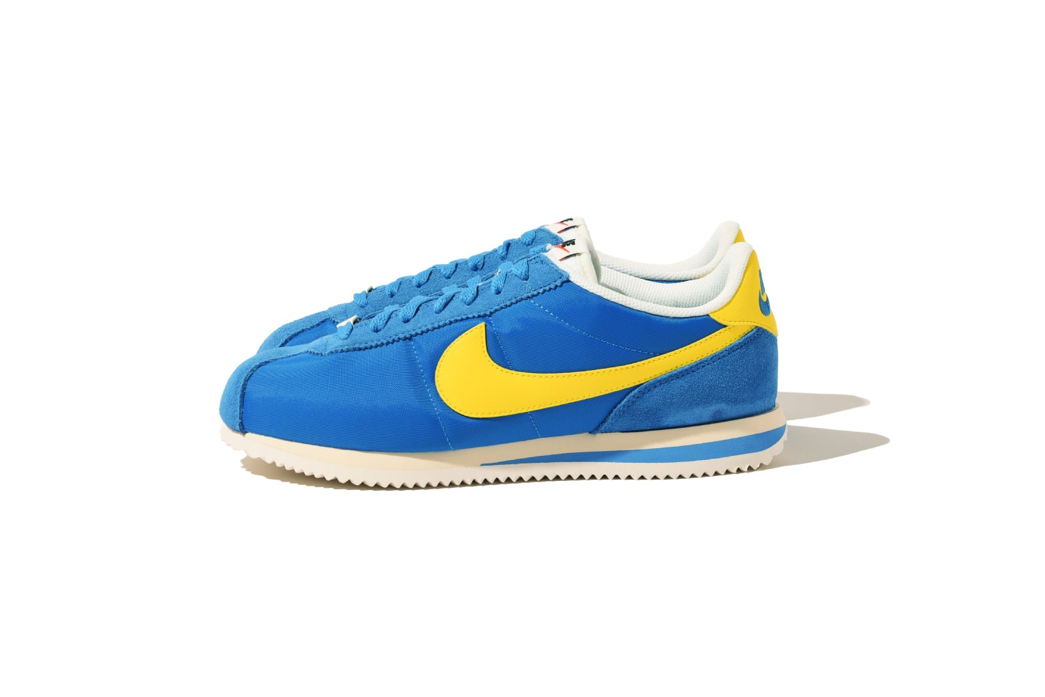 今日もビショップ