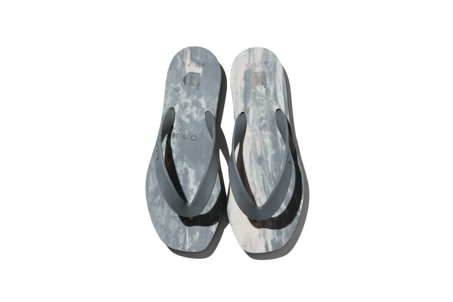 今日もビショップ