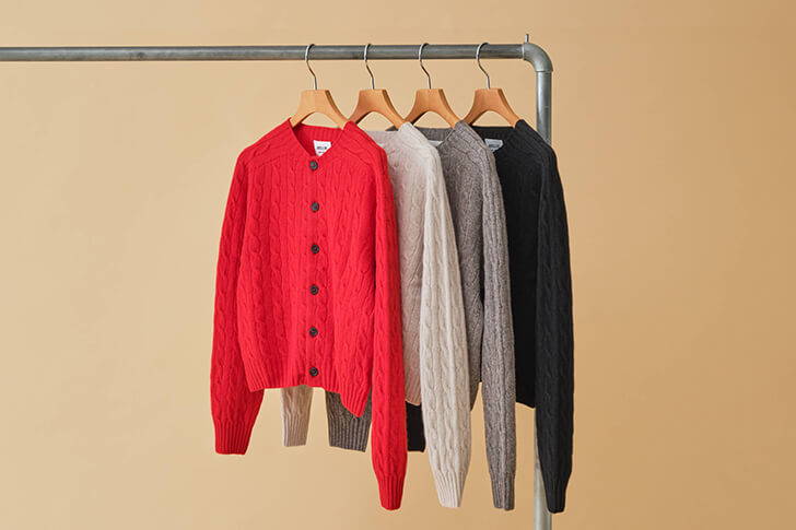 カラー展開画像