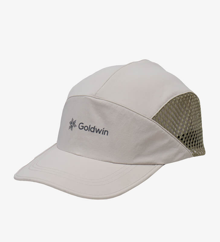 GOLDWIN